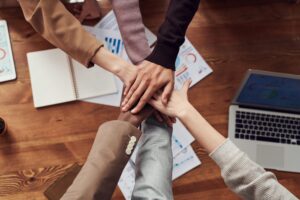 Creativity, Expertise and Passion
